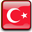Türkçe dil